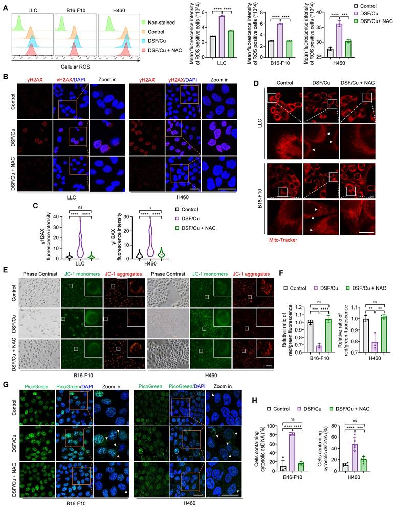 Int J Biol Sci Image