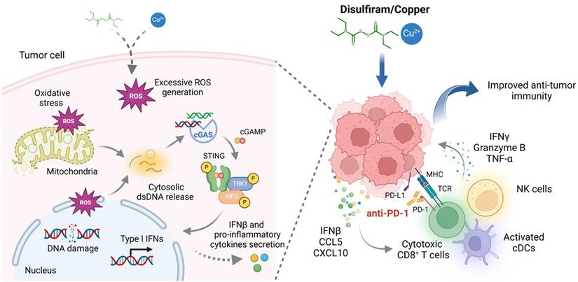 Int J Biol Sci Image