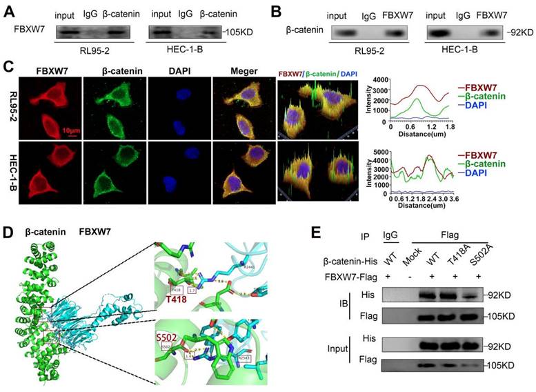 Int J Biol Sci Image