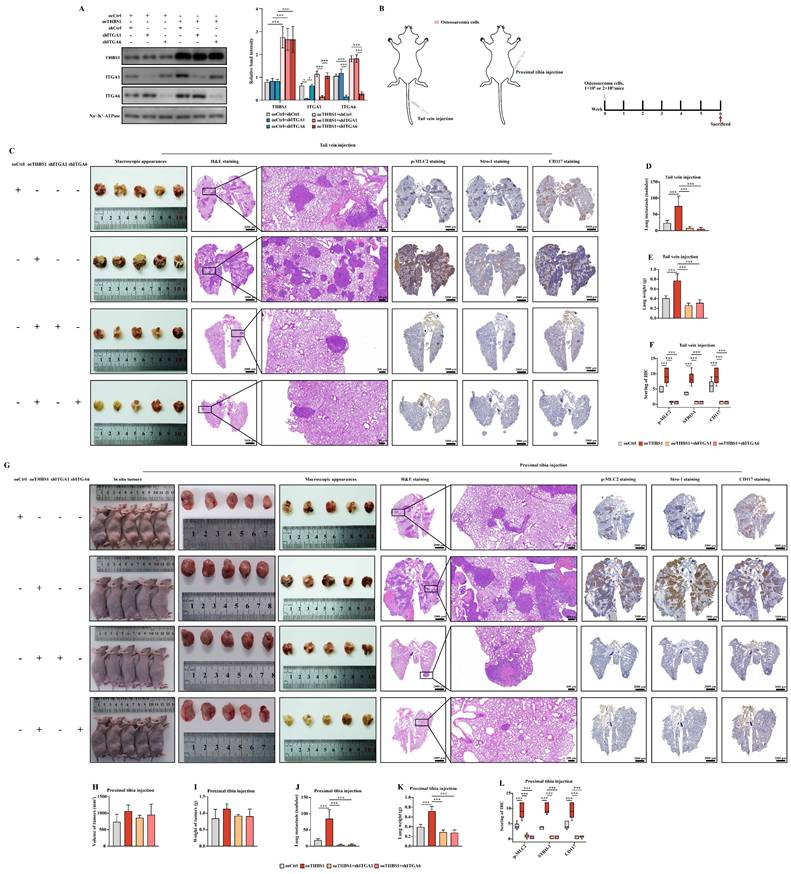 Int J Biol Sci Image