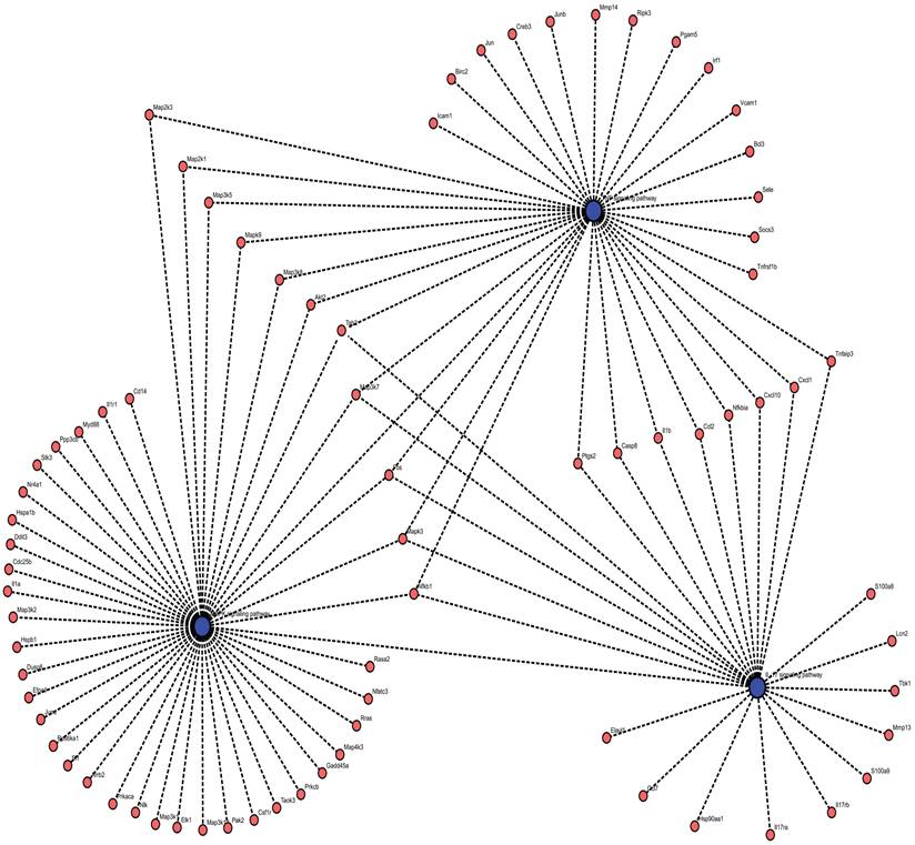 Int J Biol Sci Image