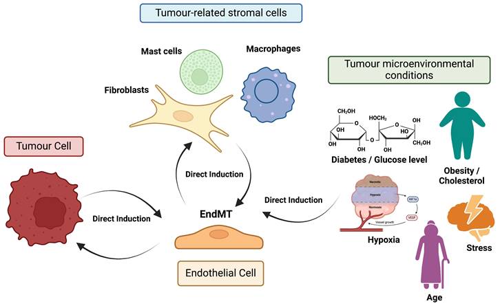 Int J Biol Sci Image