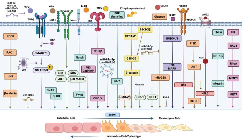 Int J Biol Sci Image