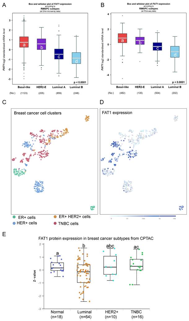 Int J Biol Sci Image