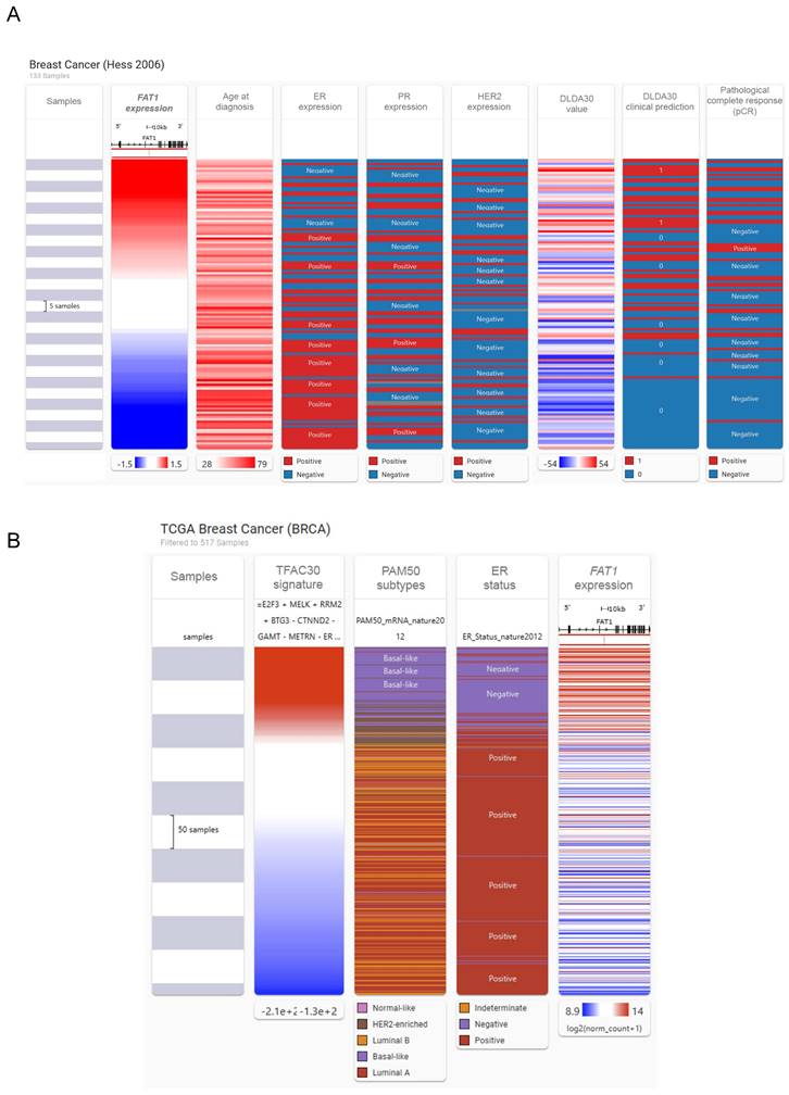 Int J Biol Sci Image