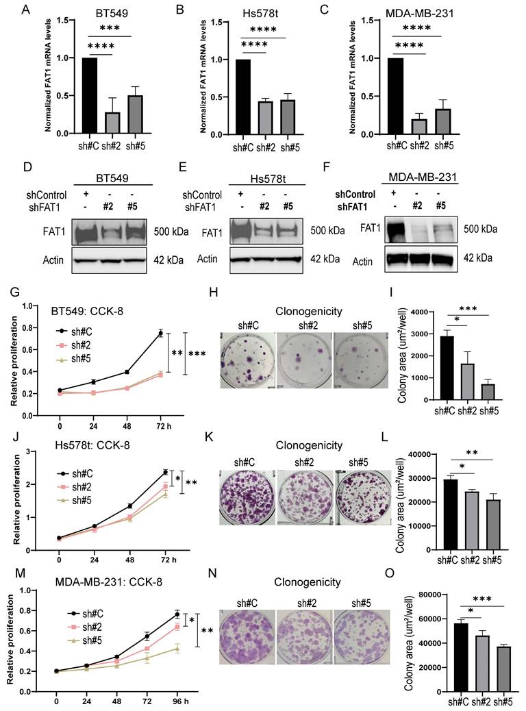 Int J Biol Sci Image