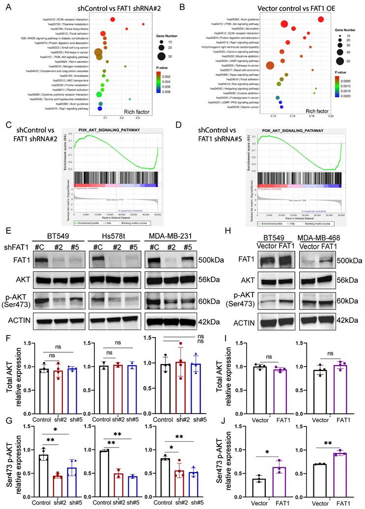 Int J Biol Sci Image
