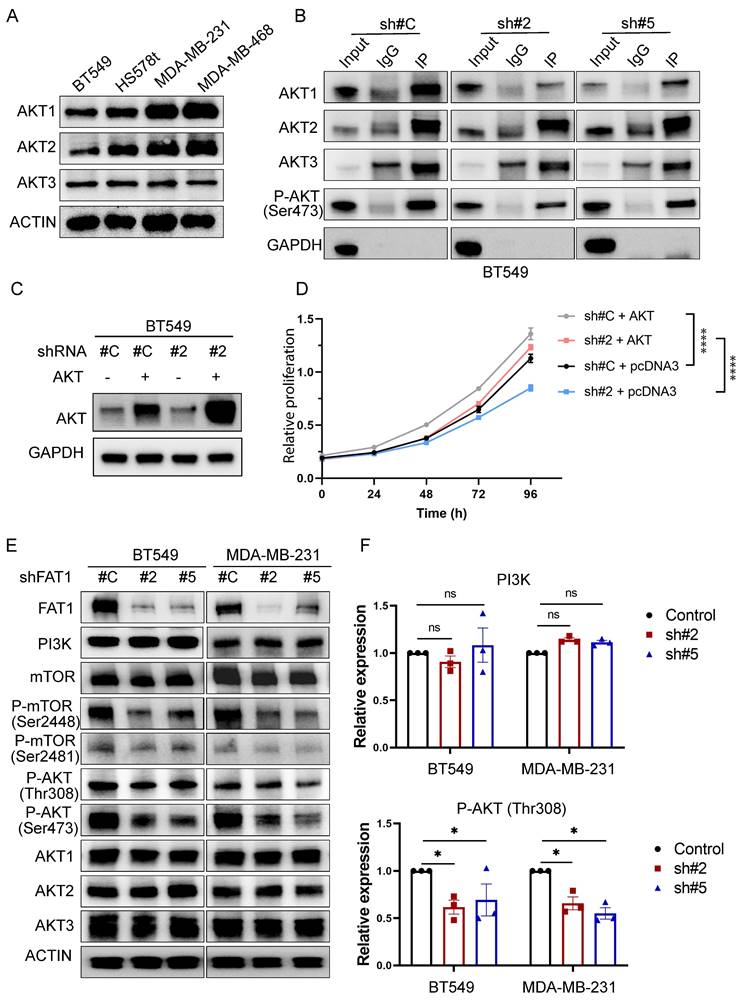 Int J Biol Sci Image