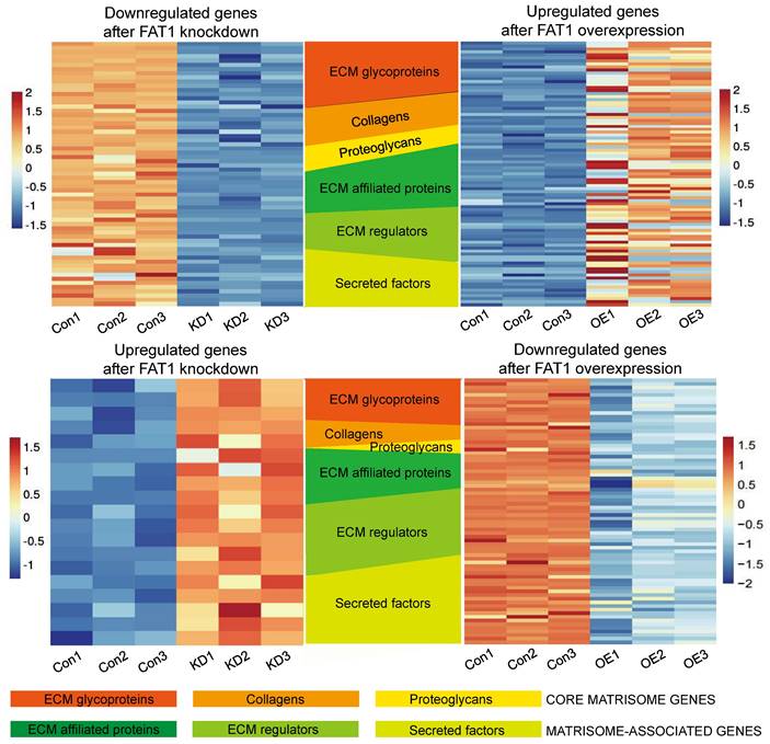 Int J Biol Sci Image