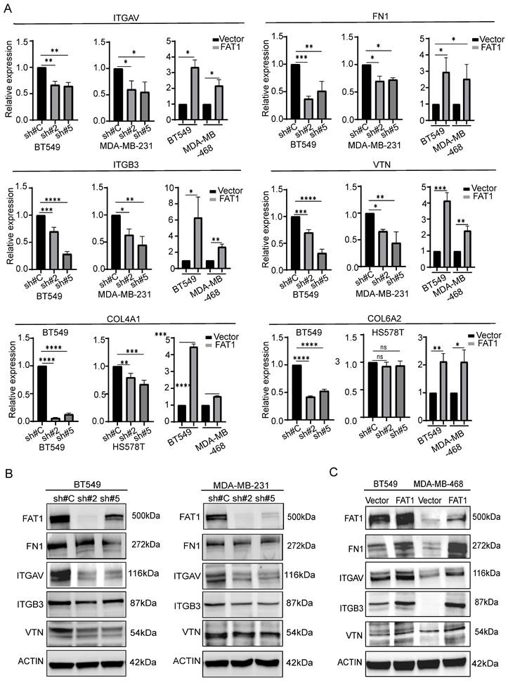 Int J Biol Sci Image