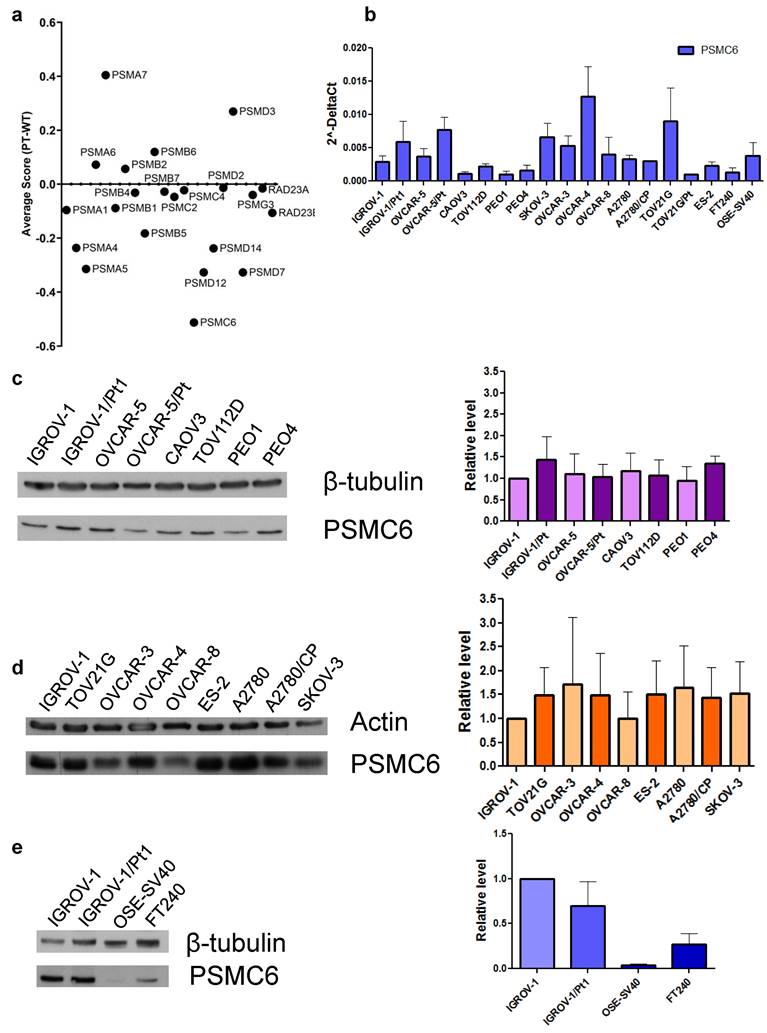 Int J Biol Sci Image