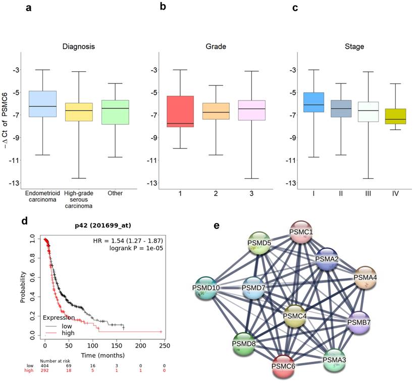 Int J Biol Sci Image