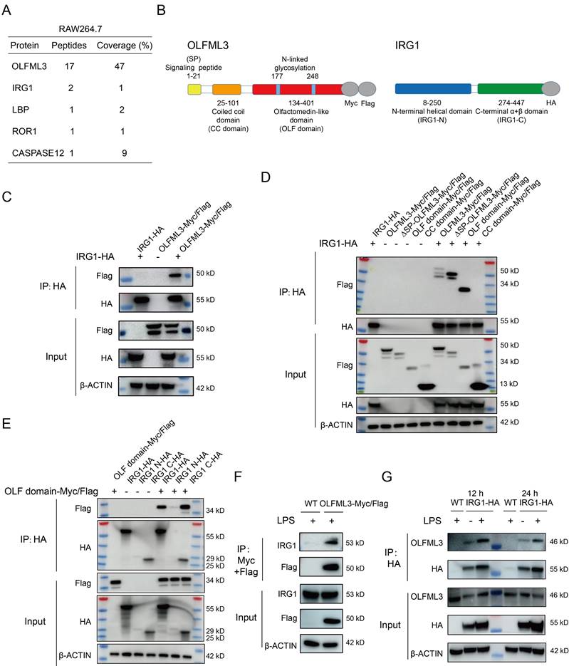 Int J Biol Sci Image