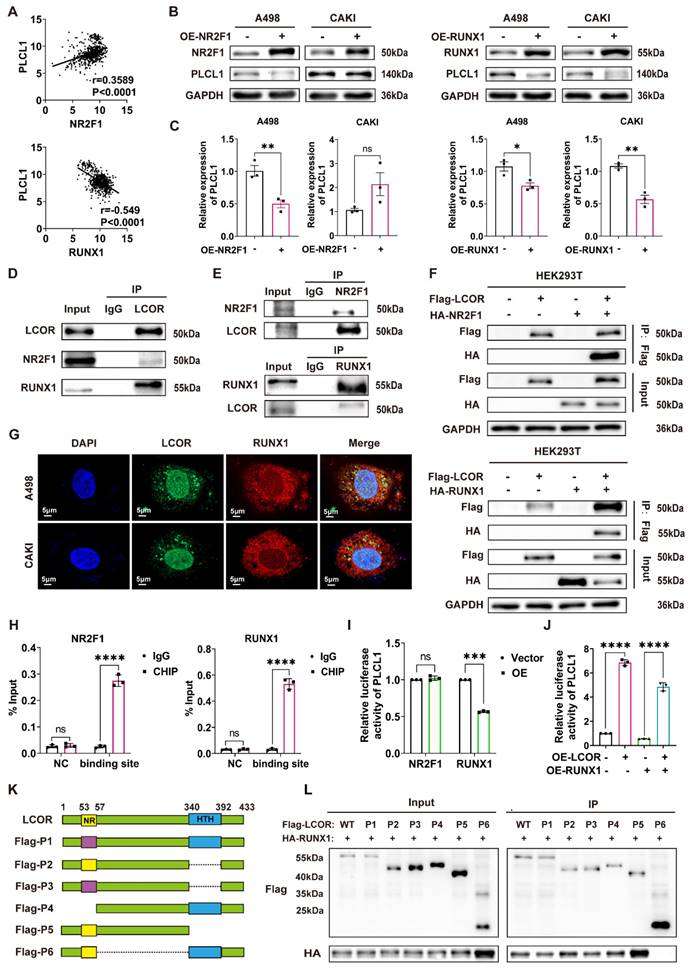Int J Biol Sci Image
