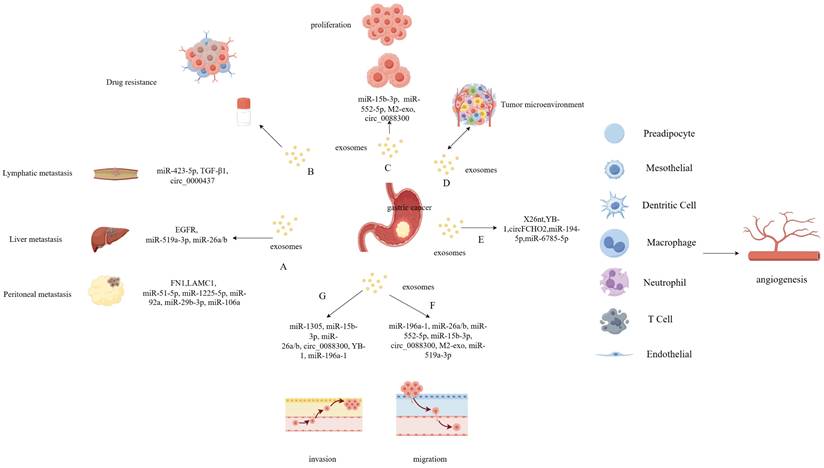 Int J Biol Sci Image