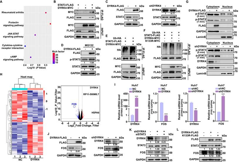 Int J Biol Sci Image