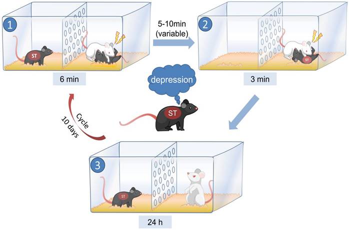 Int J Biol Sci Image