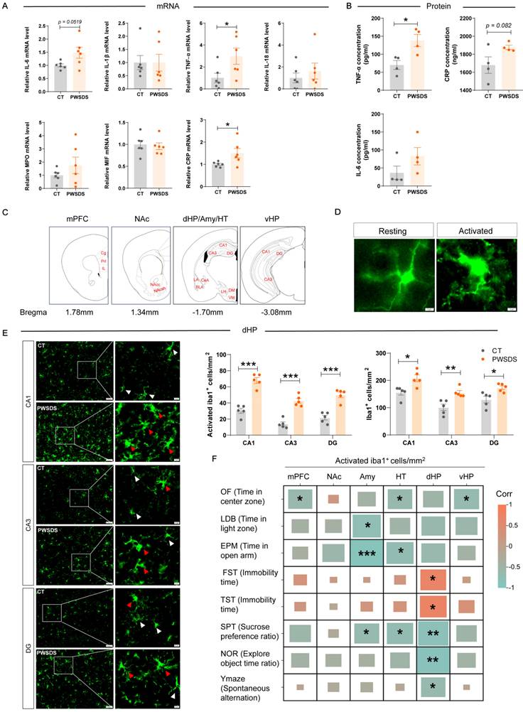 Int J Biol Sci Image