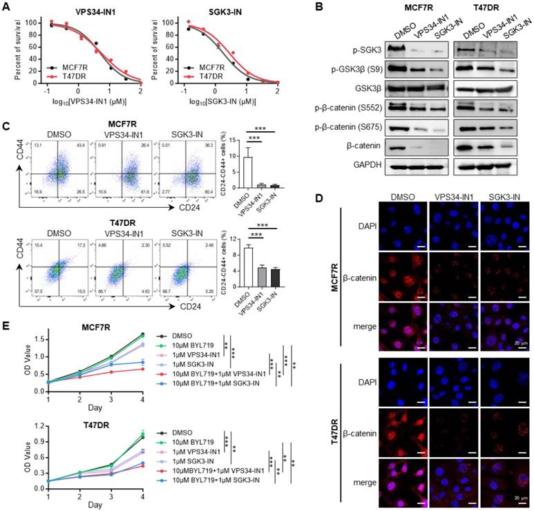 Int J Biol Sci Image