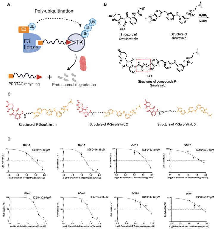 Int J Biol Sci Image