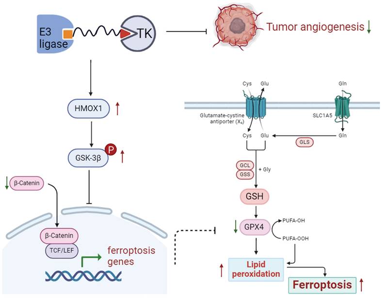 Int J Biol Sci Image