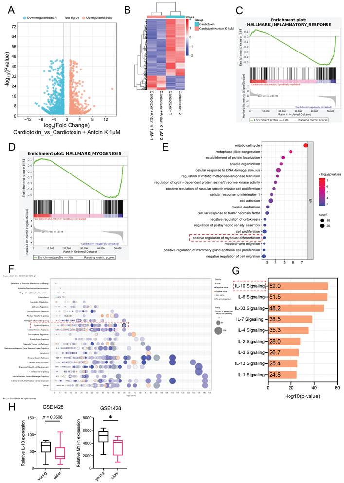 Int J Biol Sci Image