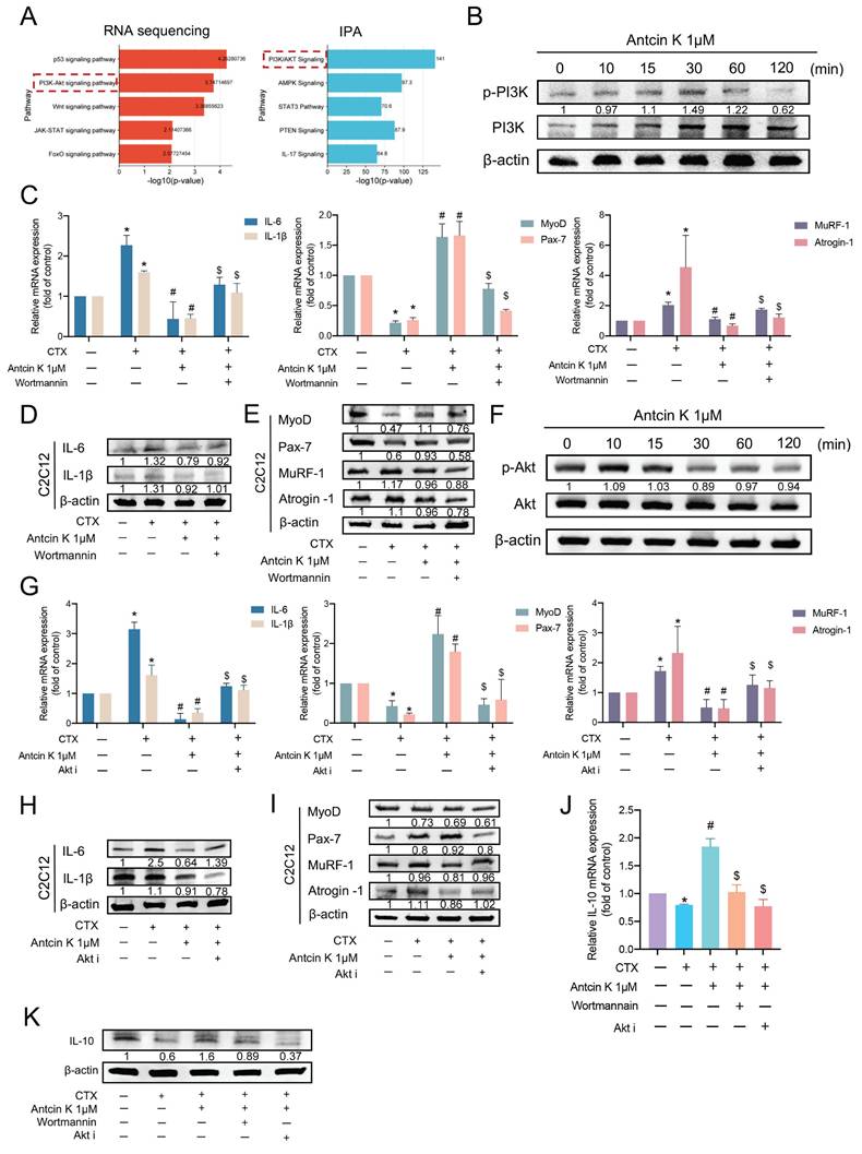 Int J Biol Sci Image