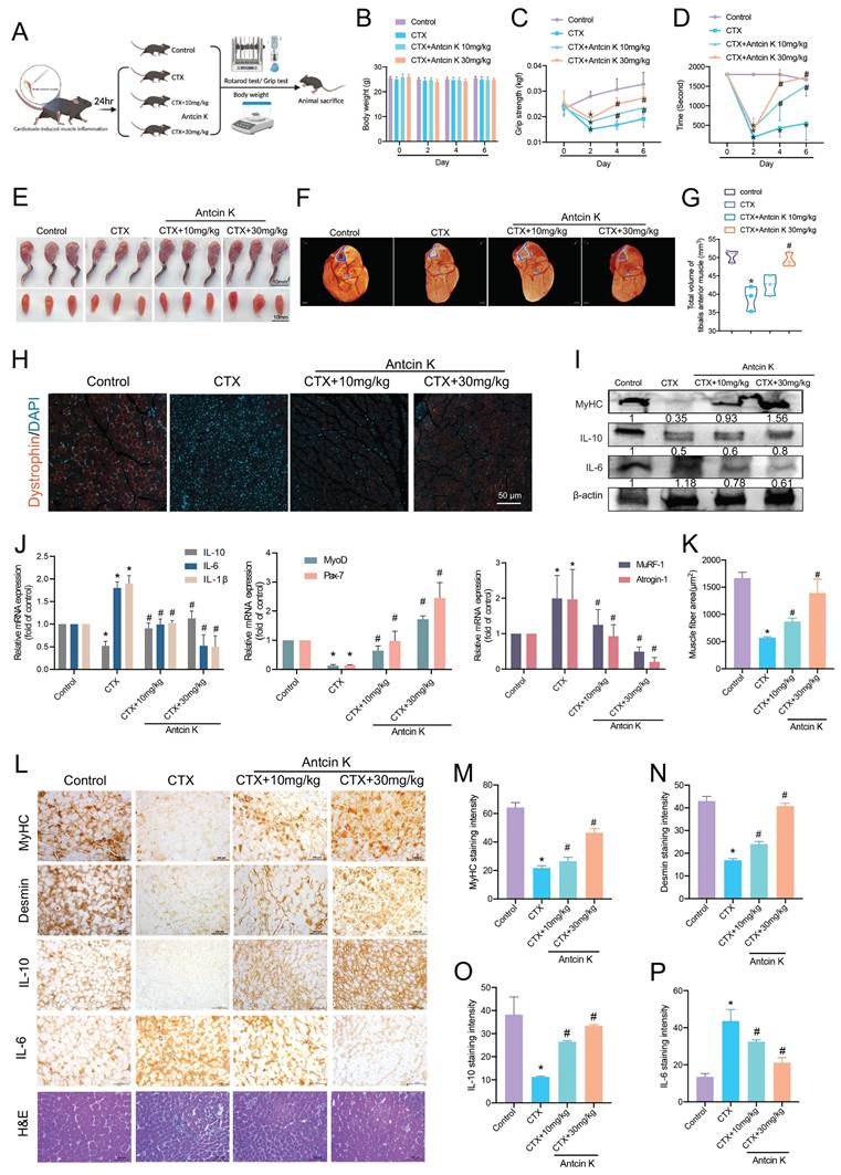 Int J Biol Sci Image