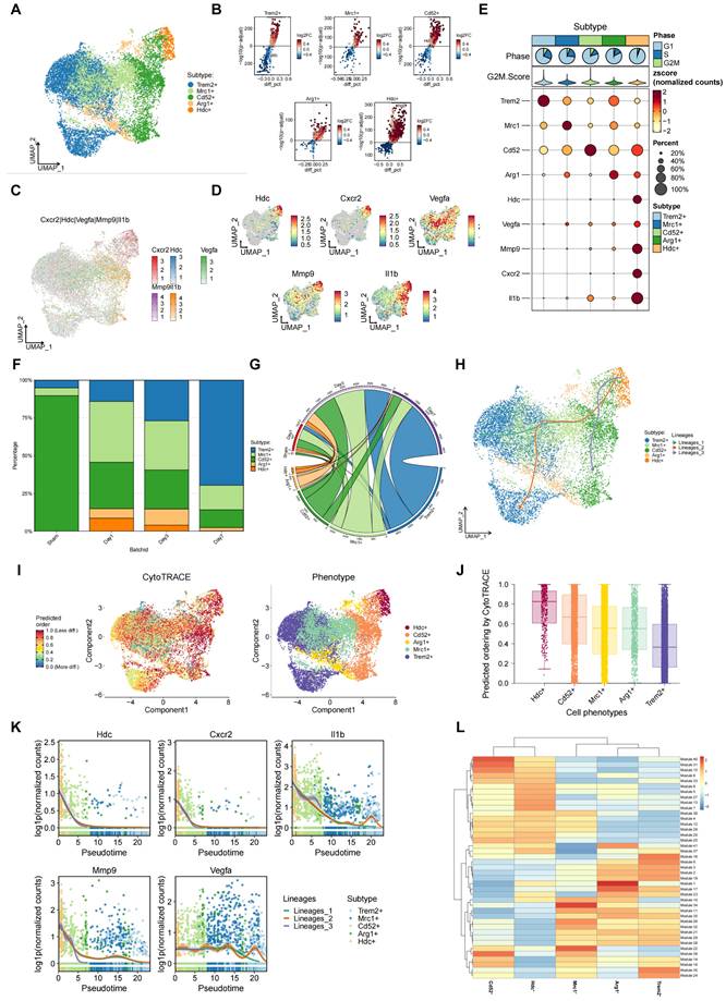 Int J Biol Sci Image
