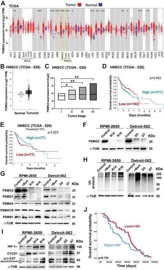 Int J Biol Sci Image