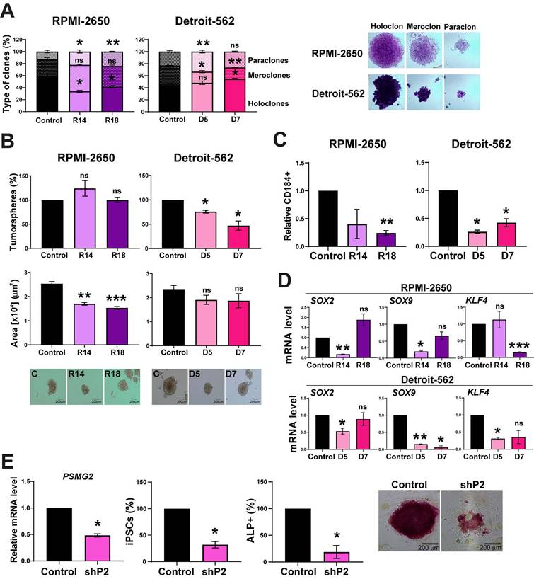 Int J Biol Sci Image
