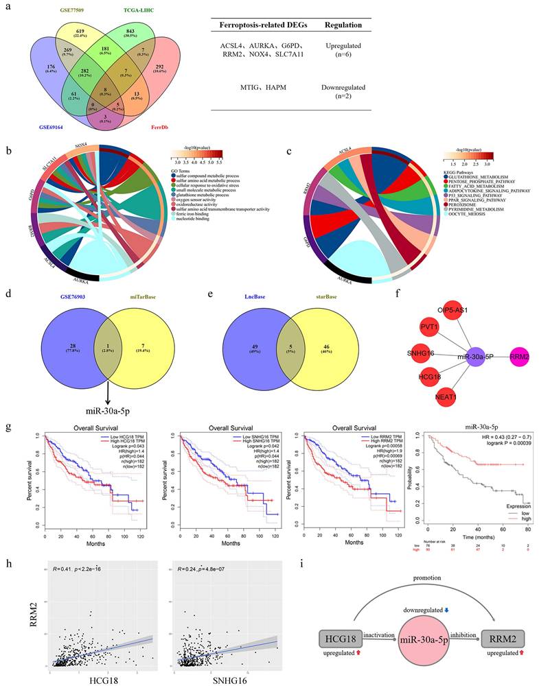 Int J Biol Sci Image