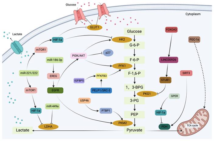 Int J Biol Sci Image