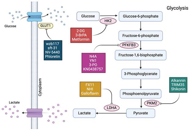 Int J Biol Sci Image