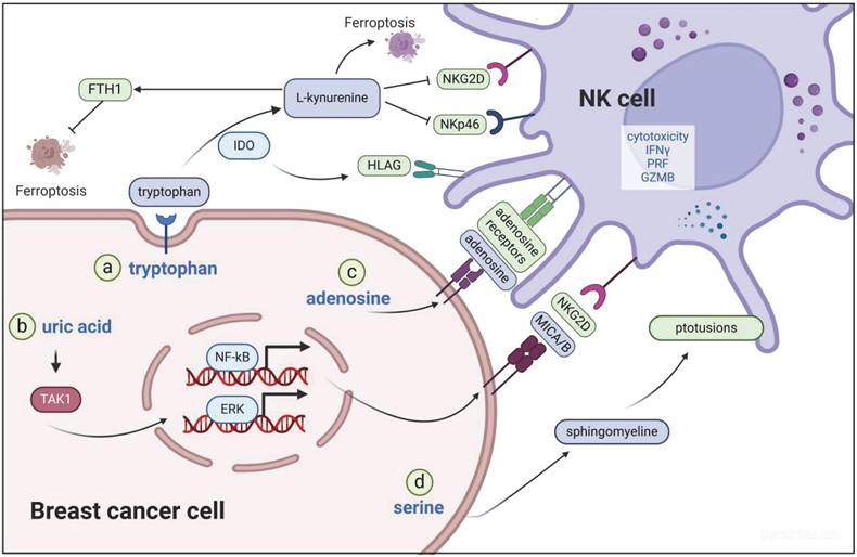 Int J Biol Sci Image