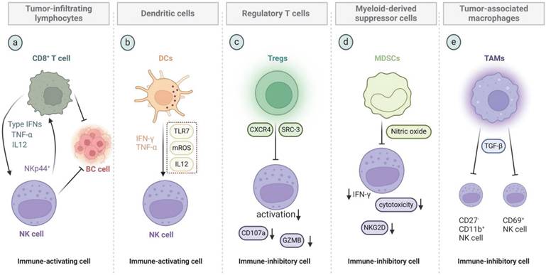 Int J Biol Sci Image