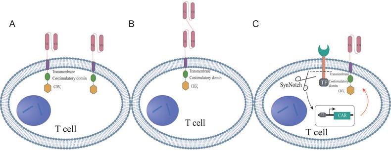 Int J Biol Sci Image