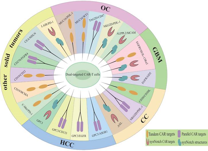 Int J Biol Sci Image