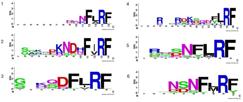 Int J Biol Sci Image