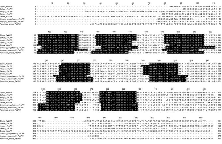 Int J Biol Sci Image