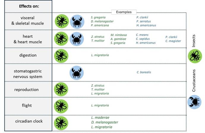 Int J Biol Sci Image