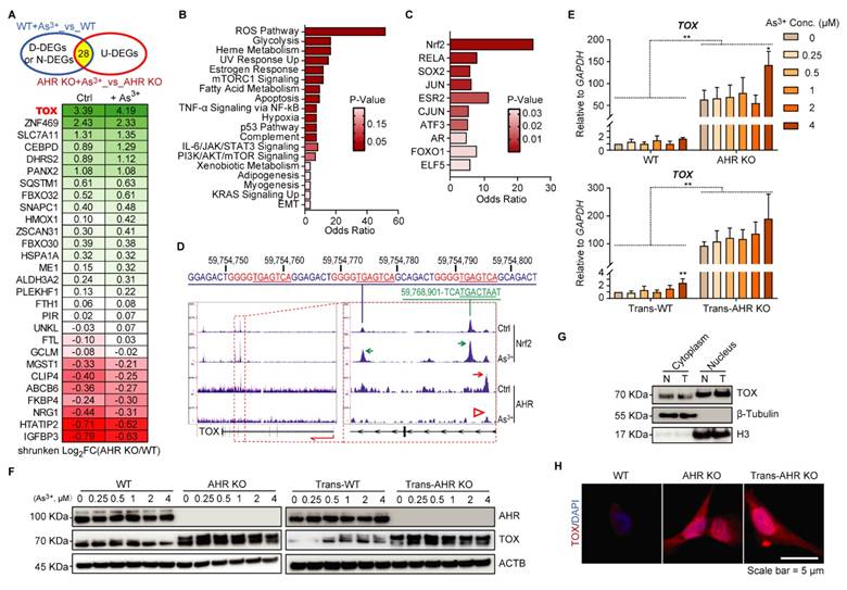Int J Biol Sci Image
