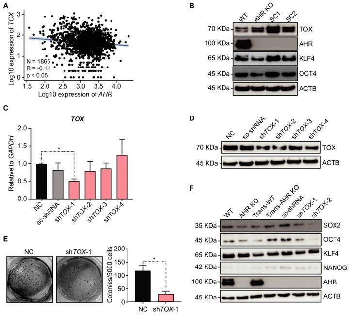Int J Biol Sci Image