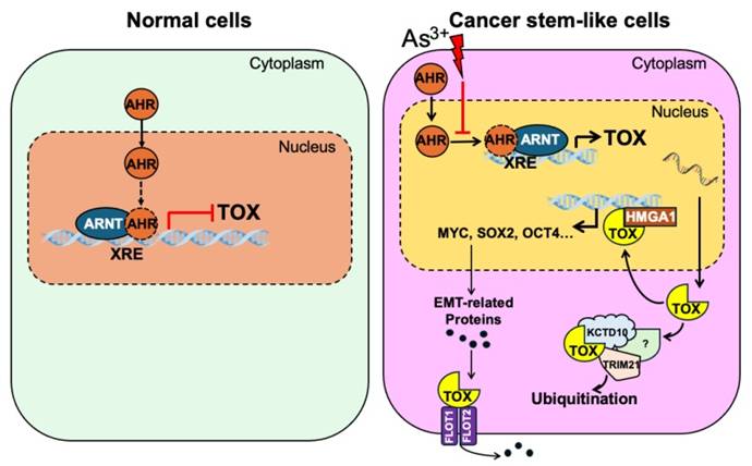 Int J Biol Sci Image