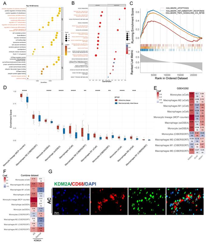 Int J Biol Sci Image