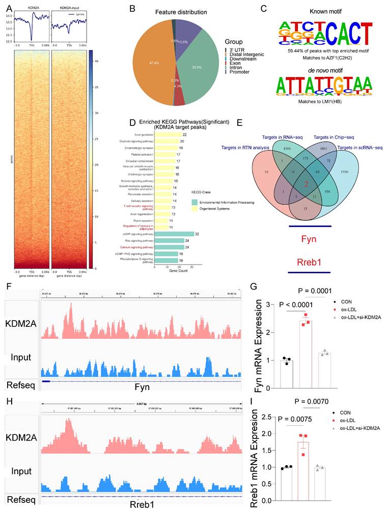 Int J Biol Sci Image