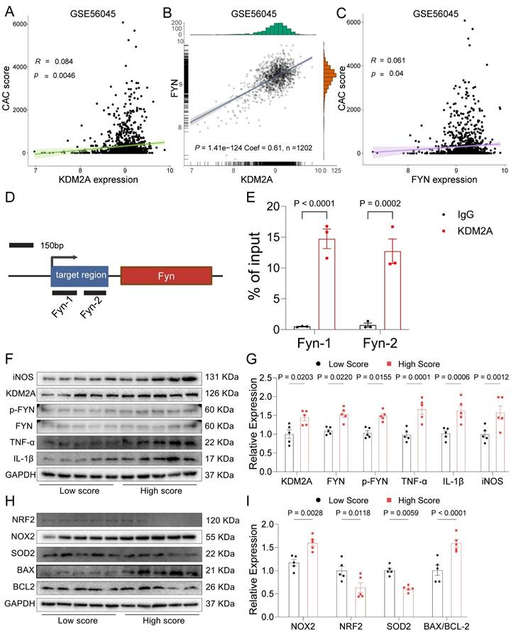 Int J Biol Sci Image