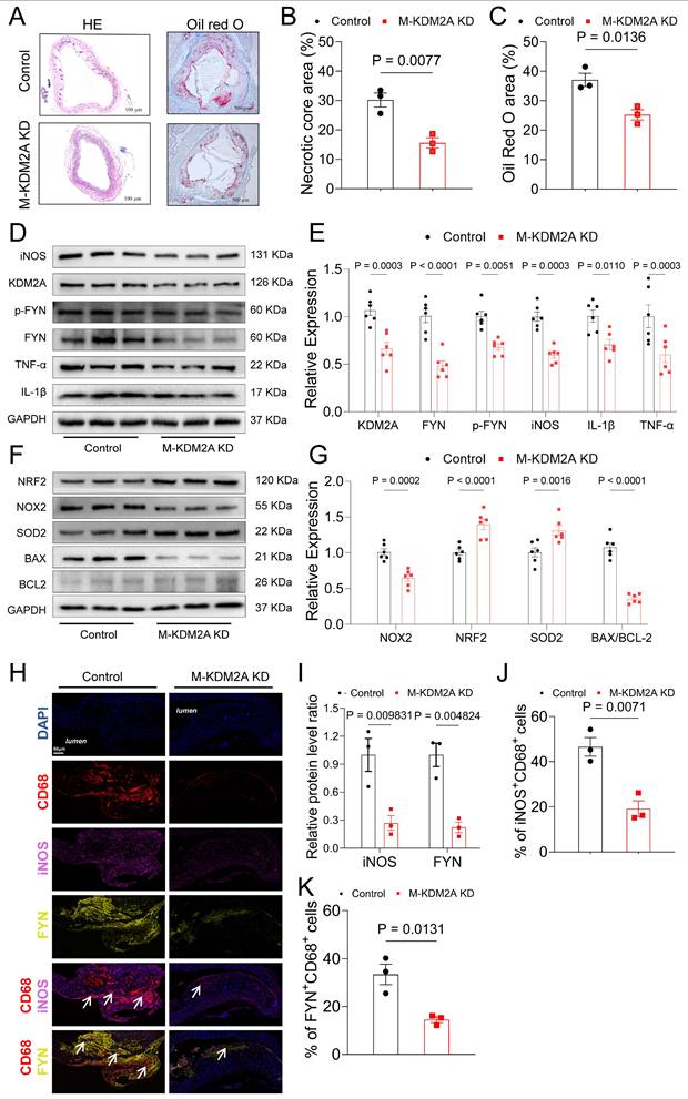 Int J Biol Sci Image
