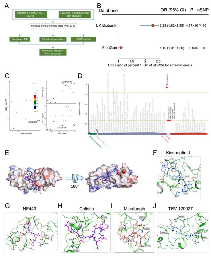 Int J Biol Sci Image