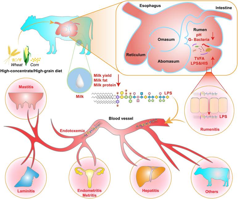 Int J Biol Sci Image